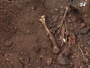 У парку ім. Горького знайшли сліди давніх людських поховань У парку ім. Горького знайшли сліди давніх людських поховань