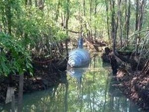 У Еквадорі збудували підводний човен для транспортування наркотиків У Еквадорі збудували підводний човен для транспортування наркотиків