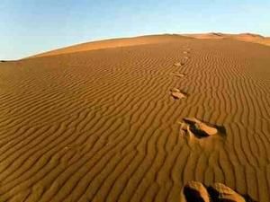 Вчені: людство зникне через сто років Вчені: людство зникне через сто років