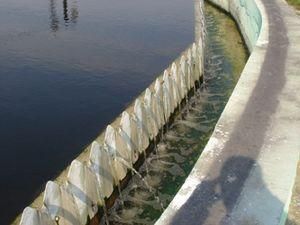 На Чернігівщині очисні споруди виводить з ладу невизначений хімікат На Чернігівщині очисні споруди виводить з ладу невизначений хімікат