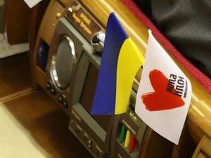 БЮТ пропонує скасувати податкову міліцію БЮТ пропонує скасувати податкову міліцію