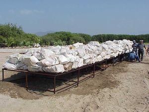 На Коста-Риці поліція конфіскувала понад тонну кокаїну На Коста-Риці поліція конфіскувала понад тонну кокаїну