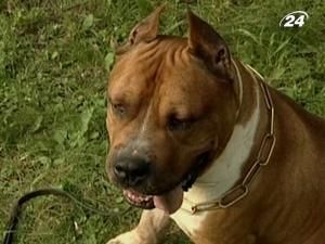Власників собак каратимуть за агресію тварин новими штрафами