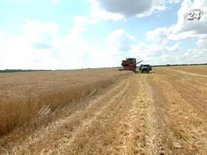 Аграрний фонд розпочинає закупівлю зерна нового врожаю Аграрний фонд розпочинає закупівлю зерна нового врожаю