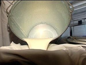 У Брюсселі фермери перекрили рух тракторами У Брюсселі фермери перекрили рух тракторами