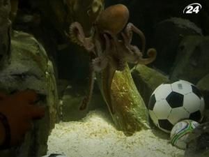 Восьминіг Пауль йде з футболу Восьминіг Пауль йде з футболу