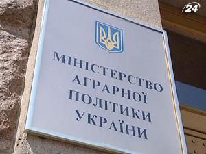 У 2010 врожай цукрового буряку може становити 17 млн. тонн У 2010 врожай цукрового буряку може становити 17 млн. тонн