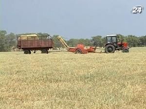 Уряд очікує зменшення врожаю зернових Уряд очікує зменшення врожаю зернових