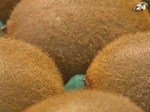 Ківі - добова норма вітаміну С Ківі - добова норма вітаміну С