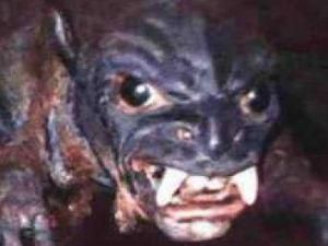 У Техасі на чоловіка напала чупакабра(ВІДЕО) У Техасі на чоловіка напала чупакабра(ВІДЕО)