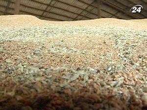 Зерна в Україні поменшало Зерна в Україні поменшало