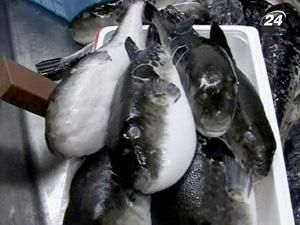 В Японії готують делікатесні страви з отруйної риби фугу В Японії готують делікатесні страви з отруйної риби фугу