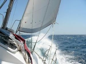 Біля Москви 25-річна дівчина загинула під гвинтами яхти Біля Москви 25-річна дівчина загинула під гвинтами яхти