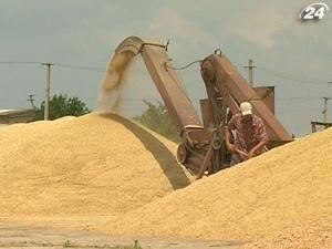 Експорт зернових буде меншим Експорт зернових буде меншим