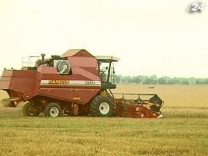 Прогнози Мінагро та зерновиків різняться Прогнози Мінагро та зерновиків різняться