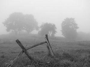 Німецькі вчені: люди в депресії бачать світ сірим Німецькі вчені: люди в депресії бачать світ сірим