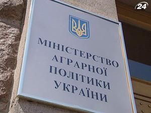 Інтервенційні ціни на зерно підвищать Інтервенційні ціни на зерно підвищать