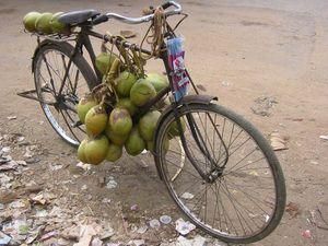 В Індії жінкам забороняють їздити на велосипедах В Індії жінкам забороняють їздити на велосипедах