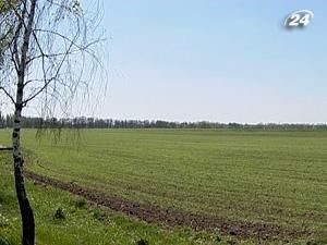 Аферисти намагалися привласнити 700 га київської землі Аферисти намагалися привласнити 700 га київської землі