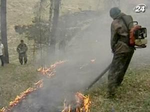 Європа знемагає від пекучого сонця