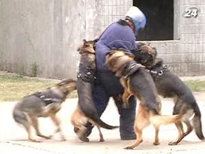 До Євро-2012 у Запоріжжі готують собак - 24 липня 2010 - Телеканал новин 24 До Євро-2012 у Запоріжжі готують собак - 24 липня 2010 - Телеканал новин 24