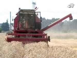 Прогнози врожаю у світі скорочено через погодні умови Прогнози врожаю у світі скорочено через погодні умови