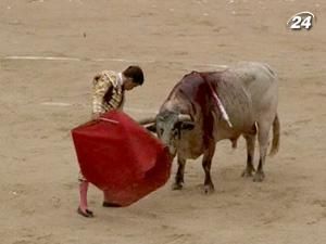 Каталонський парламент заборонить кориду? Каталонський парламент заборонить кориду?
