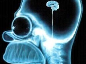 Вчені: освіта дозволяє людині зберігати тверезість розуму в старості Вчені: освіта дозволяє людині зберігати тверезість розуму в старості