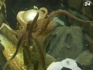 Китайські кінематографісти зняли фільм про "восьминога-оракула" Китайські кінематографісти зняли фільм про "восьминога-оракула"