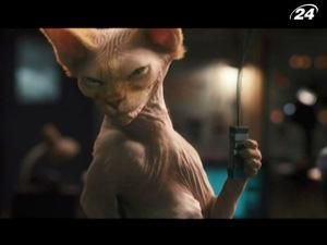 "Коти проти собак-2": пес Діггс має знешкодити небезпечну Кітті Галор "Коти проти собак-2": пес Діггс має знешкодити небезпечну Кітті Галор