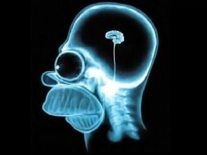 Китайські вчені: менше думаєш — довше живеш Китайські вчені: менше думаєш — довше живеш