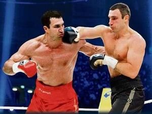 Кличкам невигідно битись в Україні Кличкам невигідно битись в Україні