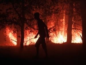 На Луганщині горить 160 гектарів лісу На Луганщині горить 160 гектарів лісу