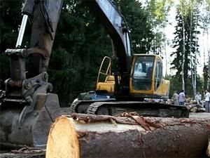 У Росії ОМОН заарештував учасників екологічного табору У Росії ОМОН заарештував учасників екологічного табору