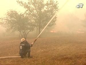 Вогонь на Луганщині охопив близько 200 гектарів лісу Вогонь на Луганщині охопив близько 200 гектарів лісу