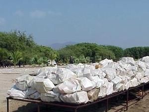 СБУ вилучила 12 мільйонів доз кокаїну СБУ вилучила 12 мільйонів доз кокаїну