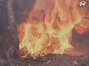 У Росії побито температурний рекорд 130-річної давнини У Росії побито температурний рекорд 130-річної давнини