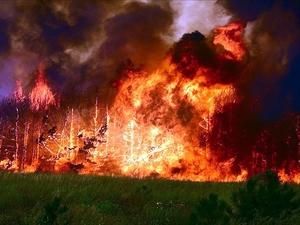 Щонайменше 25 людей загинули внаслідок лісових пожеж у Росії Щонайменше 25 людей загинули внаслідок лісових пожеж у Росії