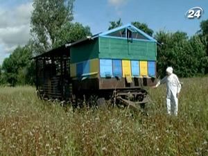 Чоловік з пасікою виїжджає на засаджені поля