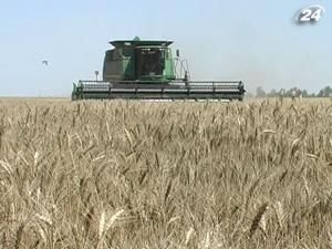 Митниця ускладнила експорт зерна Митниця ускладнила експорт зерна