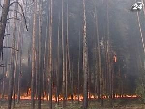 Ситуація з лісовими пожежами у Росії під контролем 