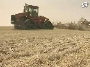 У світі дорожчають пшениця і кава У світі дорожчають пшениця і кава