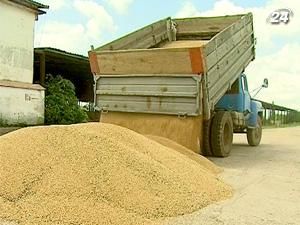 Обмеження експорту знизить закупівельні ціни на зерно