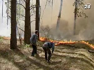 Медведєв запровадив надзвичайний стан у 7 регіонах Росії Медведєв запровадив надзвичайний стан у 7 регіонах Росії