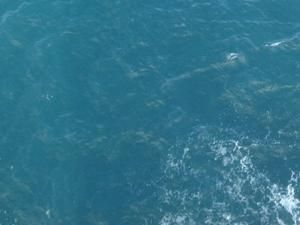 У Криму четвертий день поспіль шукають москвичку, яка зникла на воді У Криму четвертий день поспіль шукають москвичку, яка зникла на воді