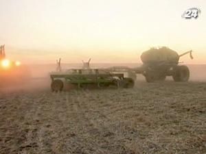 Пшениця буде і надалі дорожчати Пшениця буде і надалі дорожчати