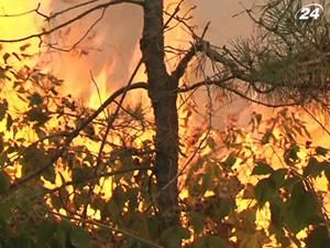 Під Києвом почалися пожежі в лісах Під Києвом почалися пожежі в лісах