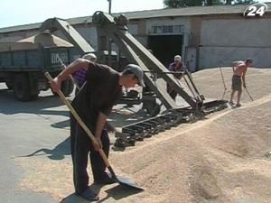 Аграрний фонд активно резервує зерно Аграрний фонд активно резервує зерно