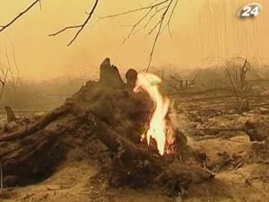 Півсотні людей стали жертвами лісових пожеж у Росії