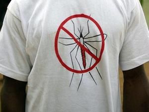 Рекорд: за місяць жінка вбила 1,5 кілограми комарів